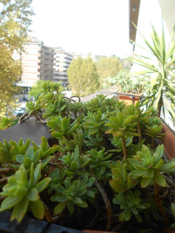 A Casa Chiecchi B&B Rome Luaran gambar