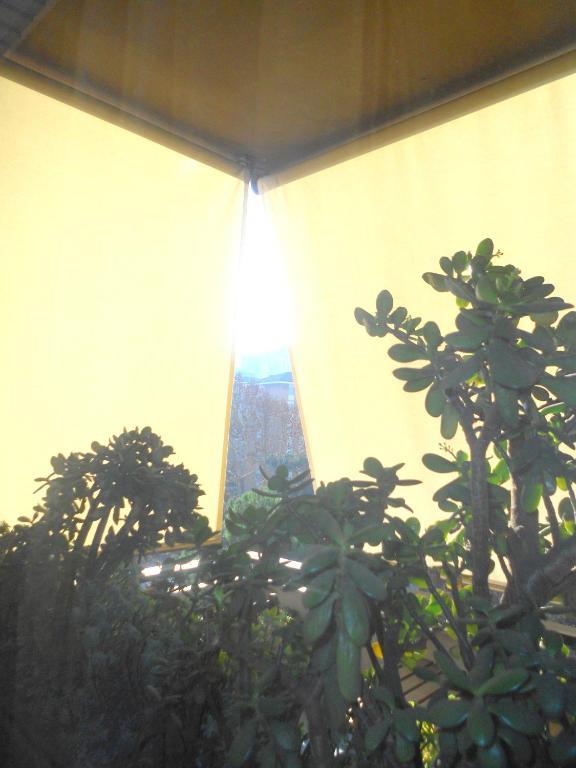 A Casa Chiecchi B&B Rome Luaran gambar